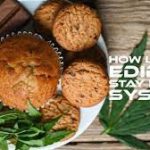 Decoding the Puzzle: How Long Do Edibles Stay in Your System? how long do edibles stay in your system
