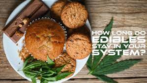 how long do edibles stay in your system