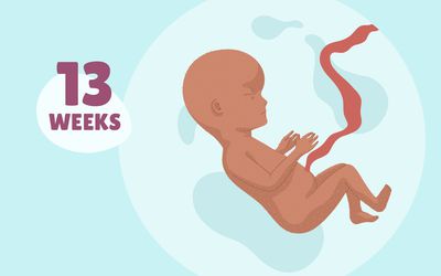 how many months is 13 weeks