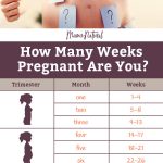 Converting Weeks to Months How Many Months is 14 Weeks how many months is 14 weeks