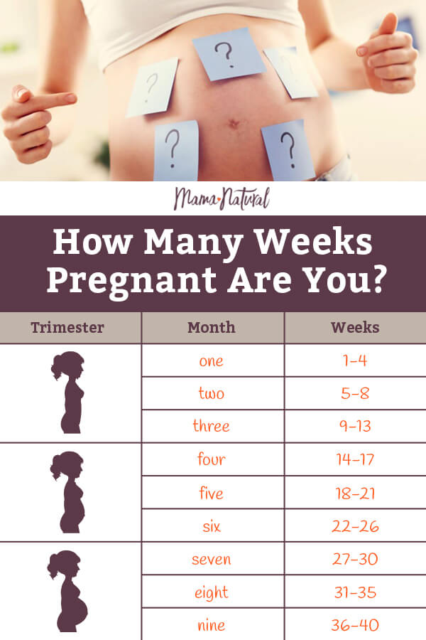 how many months is 14 weeks
