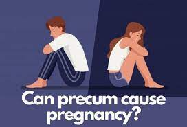 how often can precum cause pregnancy
