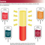 Plasma Donation Frequency How Often Can You Donate how often can you donate plasma
