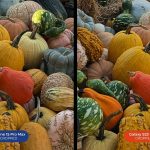 iPhone 15 Pro Max over the Samsung Galaxy S23 Ultra