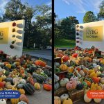 iPhone 15 Pro Max over the Samsung Galaxy S23 Ultra