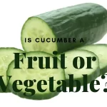 The Great Debate: Is a Cucumber a Fruit or Vegetable? is a cucumber a fruit