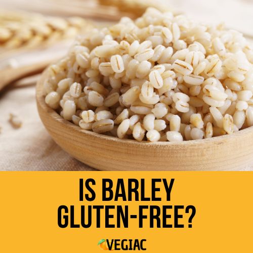 is barley gluten free