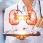 Kidney Health: Expert Insights from a Renowned Kidney Doctor kidney doctor