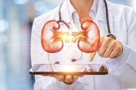 kidney doctor