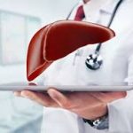Navigating Liver Health: Finding the Right Liver Doctor liver doctor
