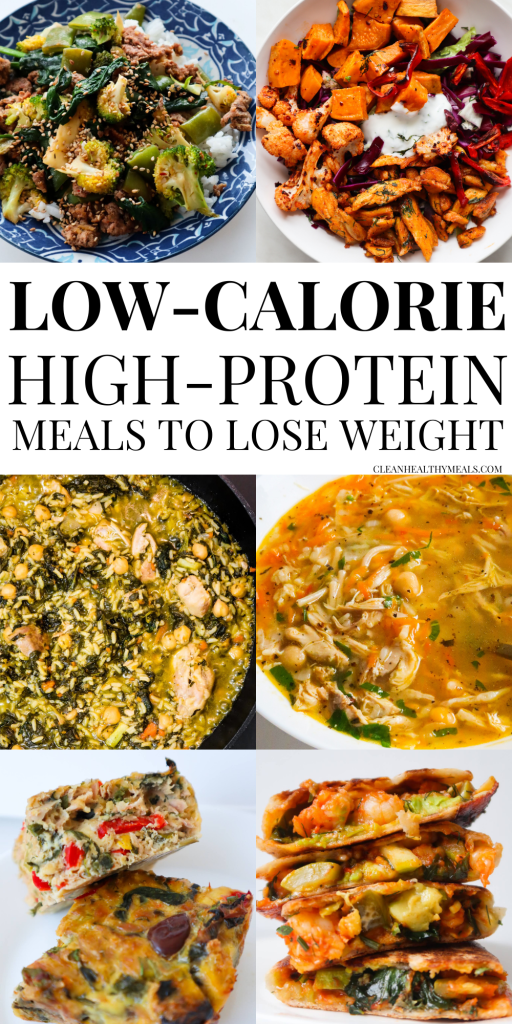 Fueling Health with Flavor: Low Calorie High Protein Meals