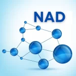 NAD Medical Abbreviation: What Does NAD Stand for in Healthcare? nad medical abbreviation