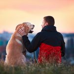 Embracing the World of Pet People: A Heartwarming Journey pet people