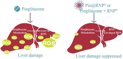 pioglitazone side effects