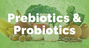 pre and probiotics