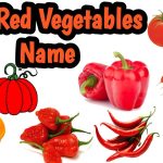Scarlet Beauties: Exploring the World of Red Vegetables red vegetables