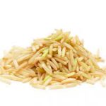 The Power of Rice Protein: This Plant-Based Superfood rice protein