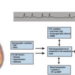 Demystifying Sick Sinus Syndrome Causes, Symptoms, and Treatment sick sinus syndrome