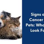 Detecting the Silent Threat: Signs of Cancer in Dogs signs of cancer in dogs