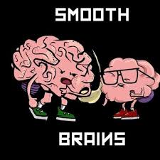 smooth brain