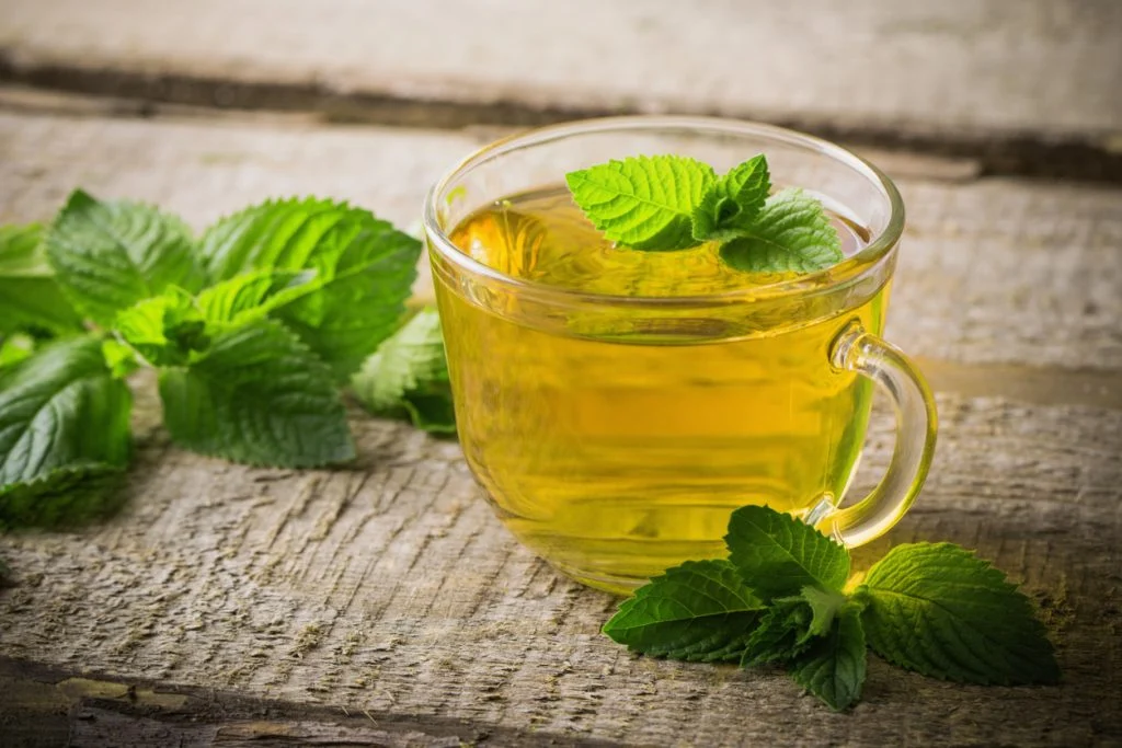 spearmint tea benefits