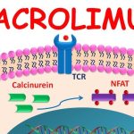 Navigating Tacrolimus Side Effects: What You Need to Know tacrolimus side effects