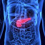The Role of Trypsin in Digestion and Biotechnology An In-Depth Exploration trypsin