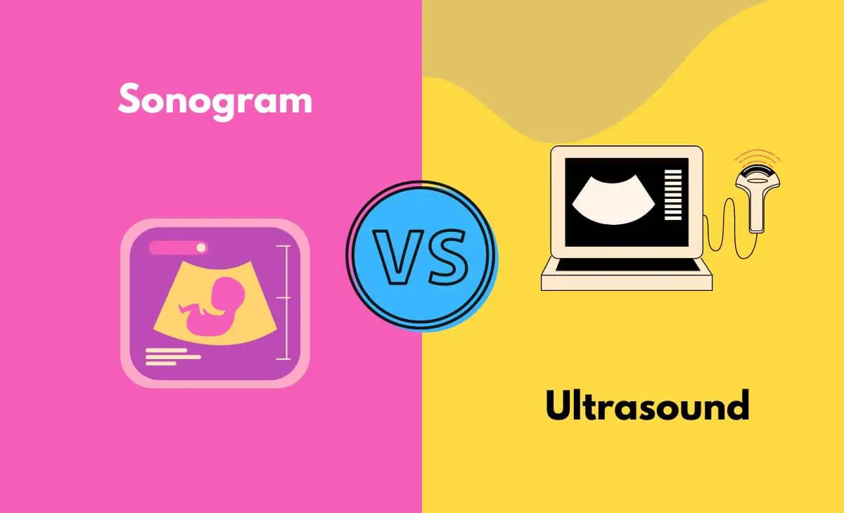 ultrasound vs sonogram