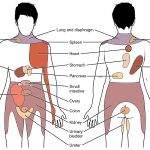upper right back pain