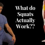 The Power of Squats Muscles They Work and Why It Matters what muscles do squats work