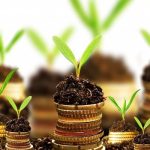 The Incredible Benefits of Going Green: Enhancing Lives and the Planet! Benefits of Going Green