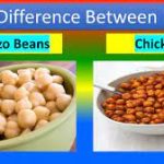 Are Chickpeas and Garbanzo Beans the Same? Behind These Nutritious Legumes are chickpeas and garbanzo beans the same