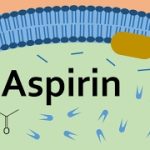 Aspirin Half Life: How Long Does It Last? aspirin half life
