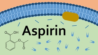 aspirin half life