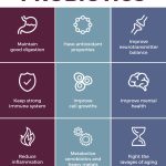 The Power of Probiotics, The Incredible Benefits for Your Health benefit of probiotic