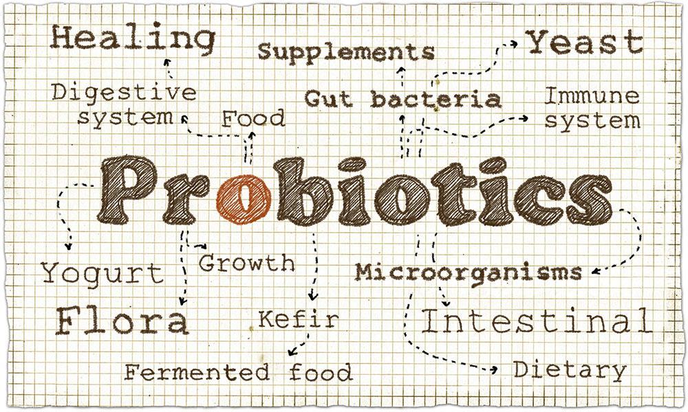 benefit of probiotics