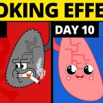 Surprising Benefits of Smoking Cigarettes, Debunking Common Myths benefit of smoking cigarettes