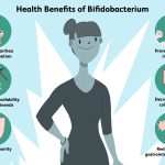 The Superpowers of Acidophilus Probiotic, a World of Health Benefits benefits of acidophilus probiotic
