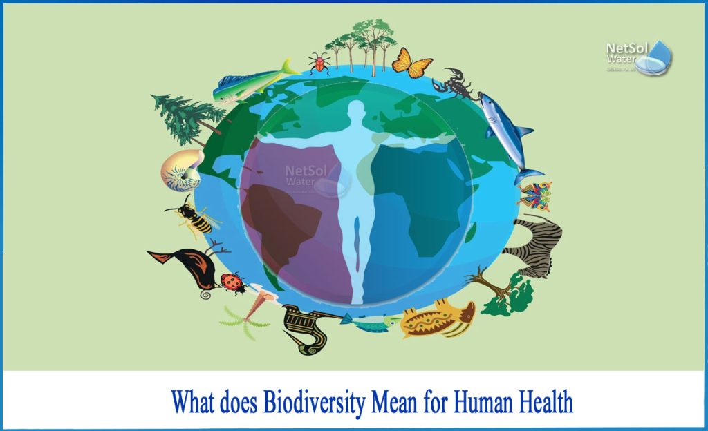 The Marvels of Biodiversity, Benefits that Shape Our World