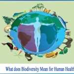 The Marvels of Biodiversity, Benefits that Shape Our World benefits of biodiversity