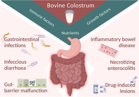 benefits of bovine colostrum