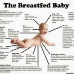 Liquid Gold, Incredible Benefits of Breastmilk for Babies and Moms benefits of breastmilk