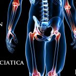 The Hidden Potential, 7 Incredible Benefits of Chiropractic Care benefits of chiropractic