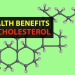 Hidden Power, Surprising Benefits of Cholesterol benefits of cholesterol