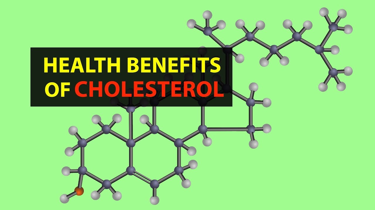 benefits of cholesterol