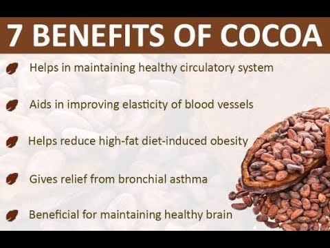 benefits of cocoa