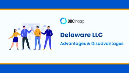 benefits of delaware llc