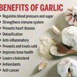 Garlic Cloves:The Incredible Health Benefits benefits of eating garlic cloves