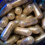 Placenta Power, Incredible Benefits of Eating Your Placenta