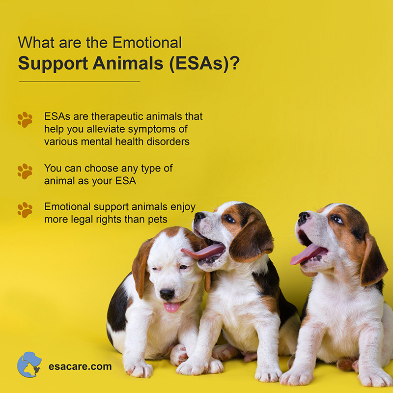 benefits of emotional support animals